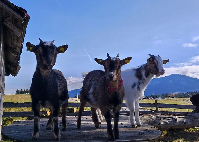 Beim Bohlar - Hochplatte 公寓 *