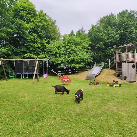 Beim Bohlar - Hochplatte